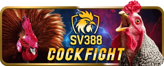 Thưởng hàng ngày và hoàn trả 77win6